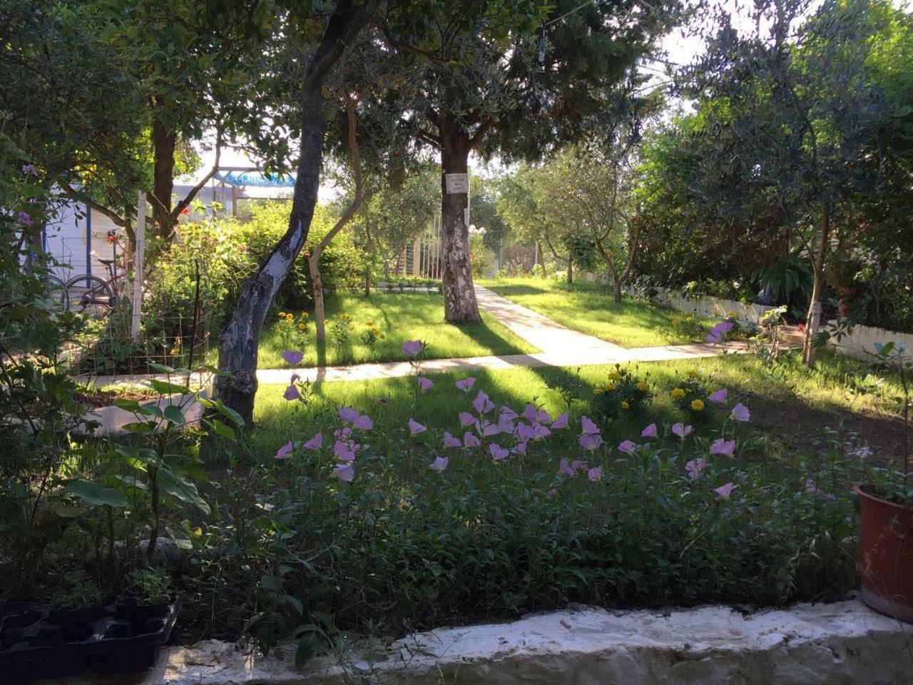 Glamping Rooms At The Sea Turtle Dhermi Exterior photo